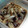 GoGoさとみん's cooksnap of when they made イカのしょうゆ漬け.