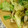 gaia7's cooksnap of when they made *＊キャベツとちくわの簡単炒め＊*.