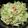 わんこたんわんたん's cooksnap of when they made ☆さっぱり美味しい温野菜サラダ☆.
