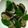 ma___111's cooksnap of when they made スピード！あさりの砂だし.