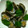 ma___111's cooksnap of when they made スピード！あさりの砂だし.