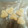 パピちゃん♥️'s cooksnap of when they made 冷凍しょうがストック.