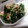 どらど～ら's cooksnap of when they made ほうれん草＊ハム＊えのきの簡単炒め.