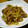 なっちゃん３１１'s cooksnap of when they made 豚肉と蓮根炒め.