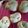 susu58's cooksnap of when they made 甘酒仕込みのしっとり白パン＊雪ダルさん＊.