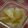 ぷみぷみん's cooksnap of when they made 簡単！甘酒の素でべったら漬け.