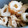 ぽぽこ800's cooksnap of when they made 【副菜】ちくわとささみの和え物.