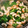 ☆シシマル☆'s cooksnap of when they made 菜の花とちくわの澄まし汁。.