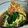 キッシュさん☆'s cooksnap of when they made 簡単‼ほうれん草とえのきのポン酢炒め.
