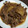tsrysn's cooksnap of when they made 簡単節約♪ご飯が進む！豚と大根の生姜炒め.