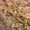 waccom's cooksnap of when they made 牛肉とピーマンの炒め煮.