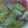 pure sweet's cooksnap of when they made 旬　キャベツとトマト　野菜スープ.