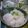 にょろにょり★'s cooksnap of when they made ほっくり♪グリーンピースご飯（豆ご飯）.