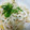MofeMofee's cooksnap of when they made 簡単！もやしの中華ナムル.