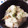 ayusari's cooksnap of when they made 薄切り大根の梅干し和え.