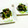 SP♪'s cooksnap of when they made 小松菜の海苔のり和え♪.
