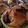 クックRGNY2F☆'s cooksnap of when they made バナナマフィン シアトル風 チョコバナナ.