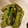がまっコ's cooksnap of when they made さやいんげんのゴマ和え.