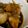あこっこ's cooksnap of when they made 肉じゃが(豚肉version).