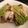 Millie2's cooksnap of when they made 味噌漬チーズと鶏胸肉の蒸し焼き.