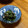 おはなすき's cooksnap of when they made 春菊とツナのマヨ合え.