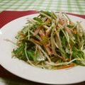 赤い電話's cooksnap of when they made もやしと水菜のシャキシャキサラダ.