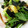 たぬぴぃ★'s cooksnap of when they made 軽食に☆簡単♪揚げ出しもちのあんかけ★.