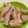 おにぎりちゃんママ's cooksnap of when they made 離乳食☆完了期 メカジキの竜田揚げ.