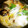 coyoyoc's cooksnap of when they made ✿旨みギュッ♬塩麹鶏のすき焼き風卵とじ✿.