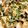 クックP8TBSS☆'s cooksnap of when they made 苦くない！簡単！ゴーヤチャンプル♪.