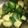クックZ8J4H4☆'s cooksnap of when they made 豚タンきゅうり.