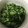 ★みーちゃんママ★'s cooksnap of when they made 簡単きゅうりの酢の物.