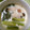 ゆうこりんのママ's cooksnap of when they made ＊失敗なしの＊基本の茶碗蒸し＊.