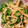 ゆいまま0326's cooksnap of when they made あと一品に♡オクラとえのきのネバトロ和え.