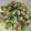 maomom0821's cooksnap of when they made 鶏団子と青梗菜のミソマヨ炒め.