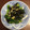 nishipin's cooksnap of when they made 簡単♪ほうれん草と海苔のおひたし.