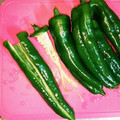 プチにゃん's cooksnap of when they made 万願寺シシトウ（とうがらし）の種だし方.