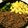 KEIs730's cooksnap of when they made 醤油麹で作る 豚そぼろ.