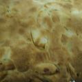 makiburi's cooksnap of when they made 計り・型不要☆失敗なし簡単りんごのケーキ.