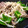 クックVI6LOP☆'s cooksnap of when they made 簡単！もやしピーマン炒め.