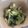 はらぺこウサギのママ's cooksnap of when they made わかめときゅうりの酢の物.