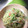 raty_715's cooksnap of when they made ネギともやしのカニカマ炒め.