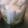 ともかずみみ's cooksnap of when they made 【咳*喉の痛みに】はちみつ大根.