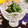 ちゃんねるゆみ's cooksnap of when they made 塩麹でほうれん草の洋風おひたし♡簡単美味.