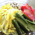 猫りんか's cooksnap of when they made きゅうりのピクルスで冷やし中華.