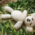 もくよう's cooksnap of when they made 大根おろしアート☆シロクマ熟睡中〜.