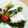 シナモシナモ's cooksnap of when they made フライドチキンのサンド★.