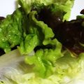 ねこネコ丸's cooksnap of when they made シャッキと蘇る☆サニーレタスの保存の仕方.