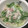 にむばすしゅたーぜん's cooksnap of when they made 簡単っ！5分でできるお店の生ハムサラダ.