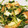 みゆるんるん's cooksnap of when they made 豆苗と厚揚げの豆板醤炒め.